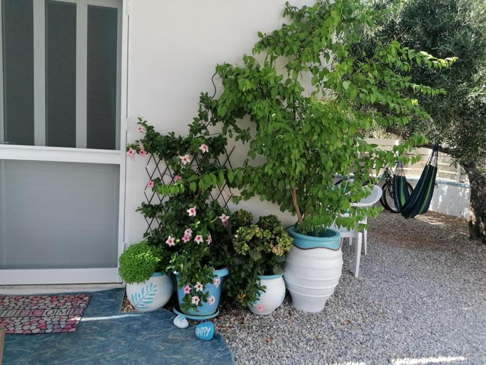キサモス Casa D'Armarosヴィラ エクステリア 写真